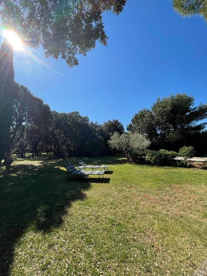Eygalières Maison Les Chenes מראה חיצוני תמונה