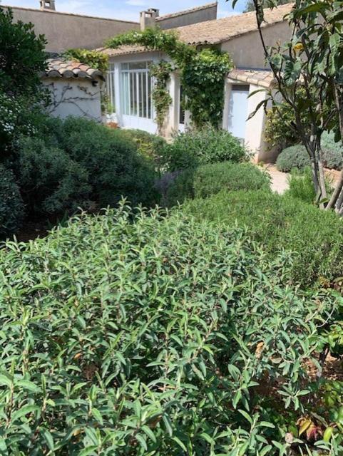 Eygalières Maison Les Chenes מראה חיצוני תמונה